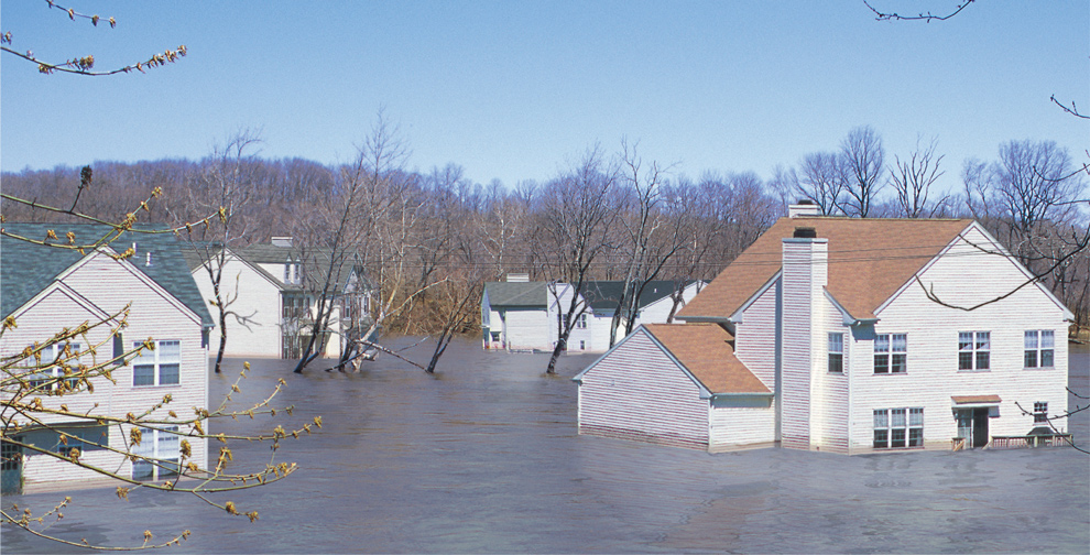 wright flood claim